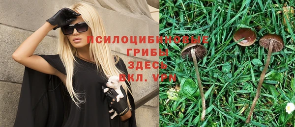 молекула духа Белокуриха