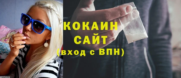 шишки Беломорск