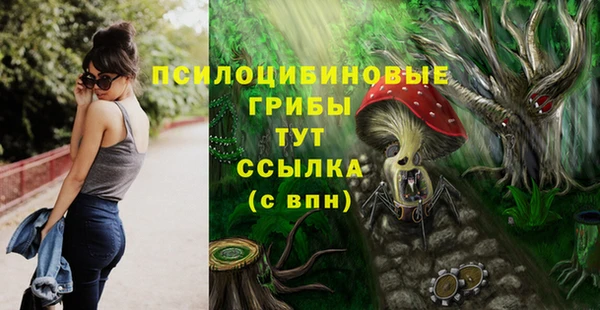 молекула духа Белокуриха