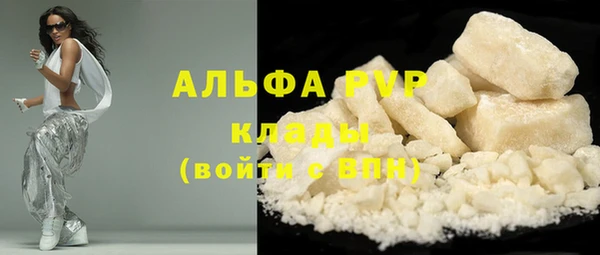 шишки Беломорск