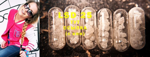 шишки Беломорск