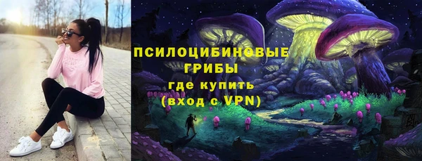 молекула духа Белокуриха