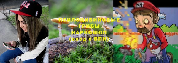 молекула духа Белокуриха