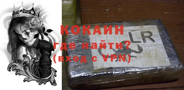 шишки Беломорск