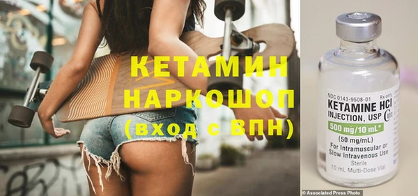 шишки Беломорск