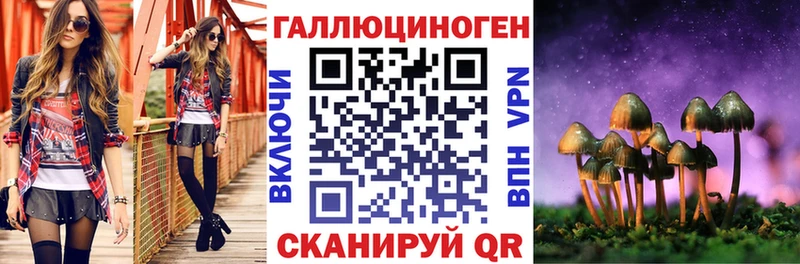 Галлюциногенные грибы GOLDEN TEACHER  продажа наркотиков  Высоковск 