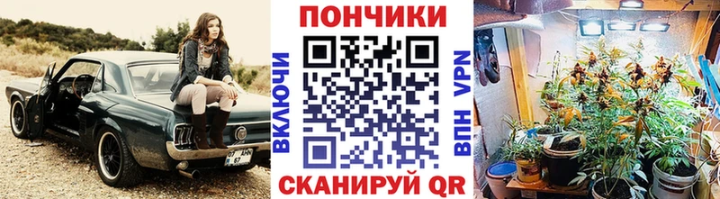 купить  сайты  kraken ССЫЛКА  Шишки марихуана THC 21%  Высоковск 